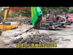 Nożyczki z dziobem orła